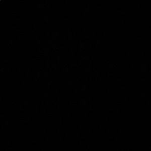 Meet your Posher, Joselyn